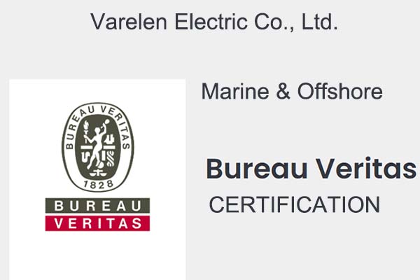 榮獲BV認證，為全球電力護航